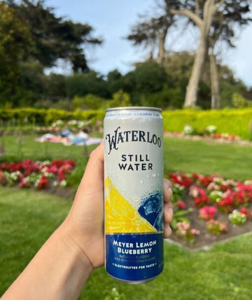 Waterloo Still Water, Meyer Lemon Blueberry | Naturally Flavored Purified Water | 12 Fl Oz Cans (Pack of 12) | Zero Calories | Z