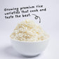 4Sisters Premium Long Grain Jasmine Rice - Sustainably Grown - 5 lb