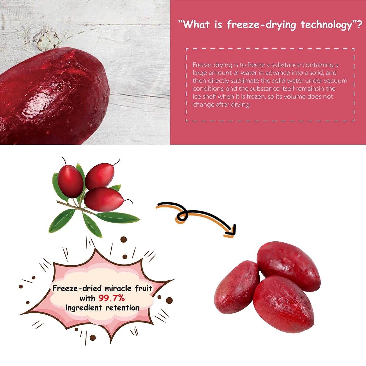 Ohh! Berry Miracle Berry [All 15 Of Them], Magic Berries Taste Change, Natural & Freeze-Dried Friut, Turn Sour Sweet And Reduce