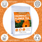 Jarteela Calendula Tea Bags - Natural, Non-GMO, Caffeine-free, 36 Count (Pack of 1)