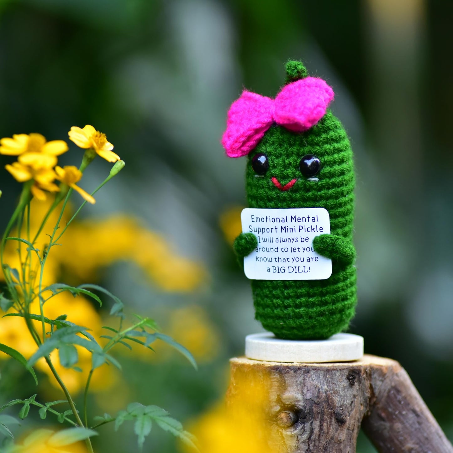 Kalawalk Funny 1 Pcs Crochet Gifts With Positive Affirmations Cards For Inspirational Novelty Good Luck Gifts And Party Decorati