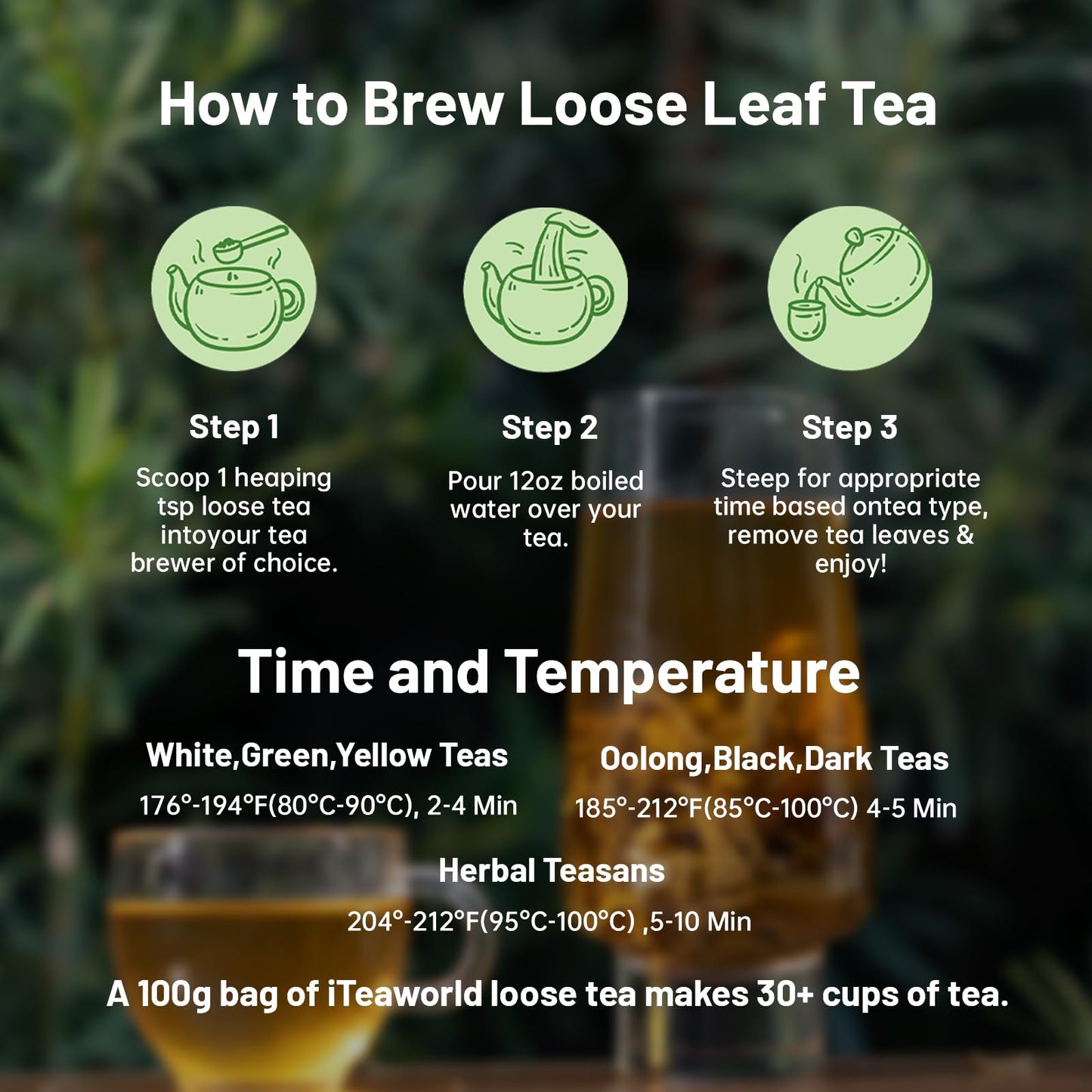 ITEAWORLD Green Tea Sampler - 6 Flavors Loose Leaf Tea Bags - 3.5oz