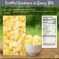 Oh! Nuts Dried Pineapple - 1.5 LB - Dried Fruit Diced - Less Sugar Added - Dehydrated Fruit Bites - Packed in New York Zip-Seal