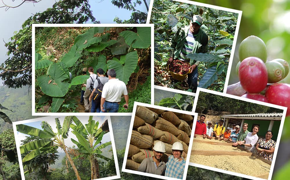 Jims Organic Coffee - Colombian - Single Origin, Medium Roast - Whole Bean, 5 Lb Bag