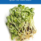 Grown in Washington Black Beans | 25 lb | Non-GMO | Kosher | Vegan | Non-Irradiated