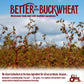 Better with Buckwheat Sea Salt Crackers, 6-Pack - A Complete Protein, Gluten-Free Crackers, Healthy Snack Crackers, Grain-Free,