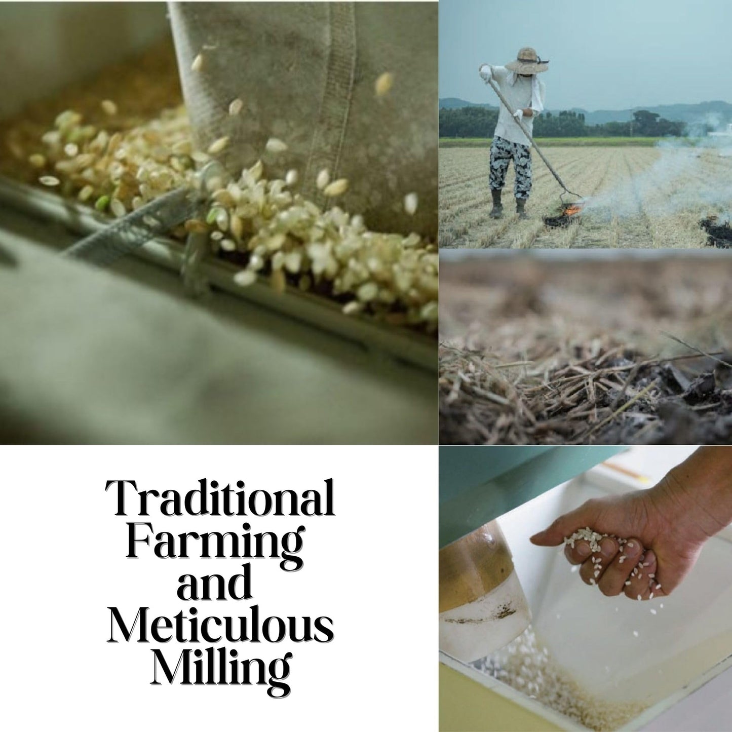 [Washoku Matsuo] Nikomaru: Rare Japanese Rice Born From Koshihikari - Premium Short Grain White Rice, Rich In Tradition, 4.4 Lb.