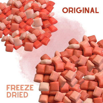 Freeze Dried Candy Starburst Mini 6Oz Fruit Burst Candy - Fave Reds (Strawberry, Watermelon, Fruit Punch, Cherry Flavors), Delic