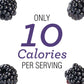 Skinnygirl Sugar Free Preserves, Blackberry Mule, 10 Ounce, Pack of 1