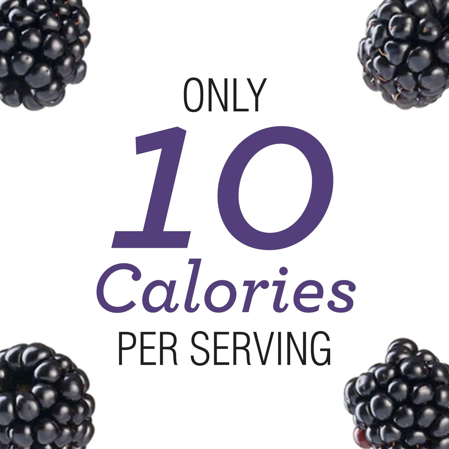 Skinnygirl Sugar Free Preserves, Blackberry Mule, 10 Ounce (Pack of 6), Brown