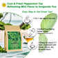 FullChea Peppermint Tea Bags - 50 Count - Premium Non-GMO Caffeine-free - Refreshing & Minty Taste