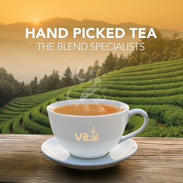 Vital Kilo Zip Pouch, Black Tea, Premium Hand-Picked Kenyan Loose-Leaf Tea, Naturally Anti Oxidized Black Loose Tea Leaf Blend,