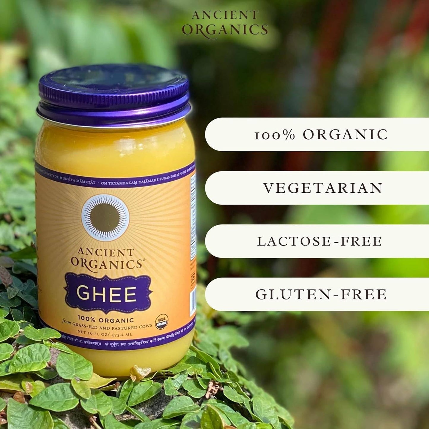 Ancient Organics Ghee, Organic Grass Fed Ghee Butter - Gluten Free Ghee, Clarified Butter, Vitamins & Omegas, Lactose Reduced, 1
