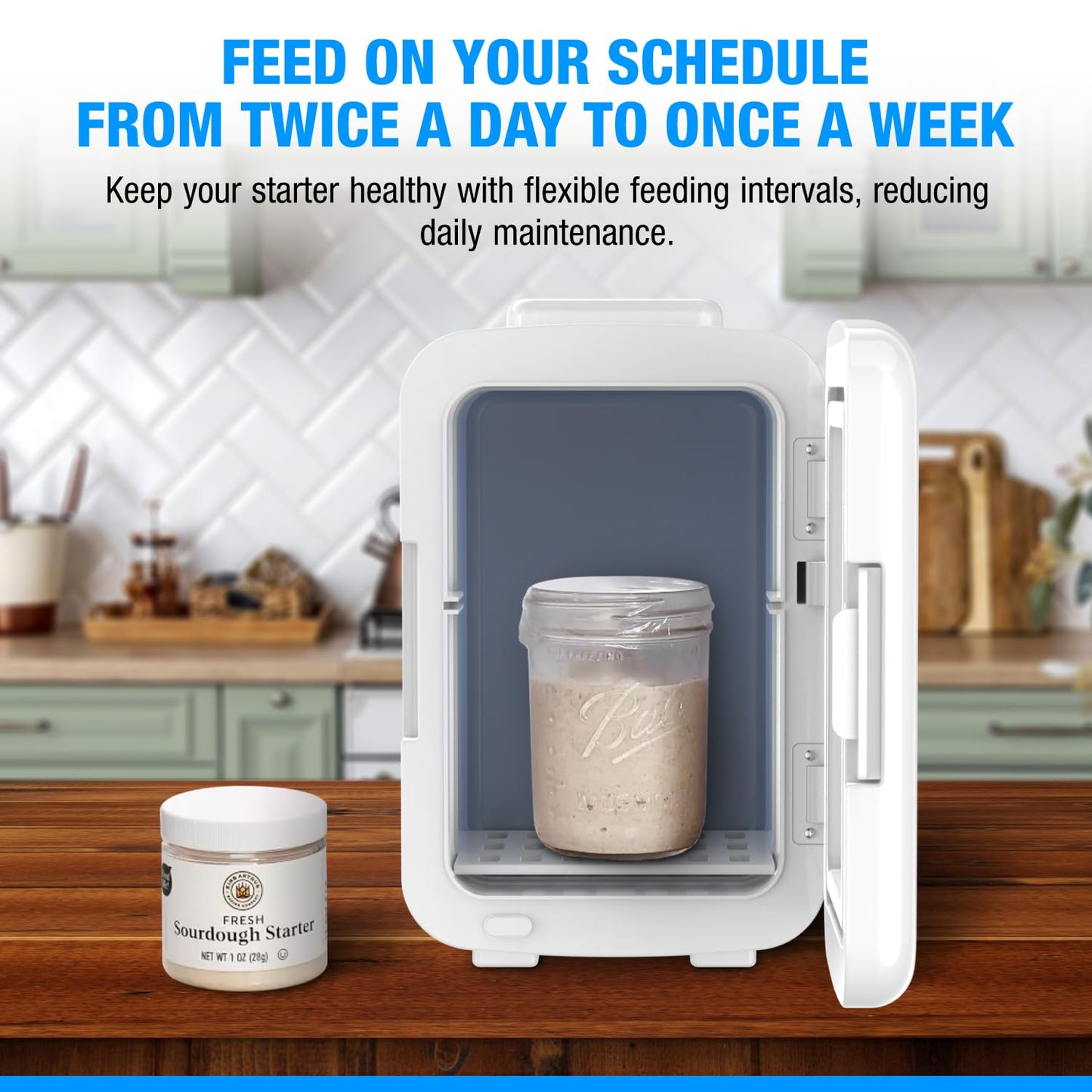 Gearwiz Sourdough Starter Home with Temperature Control - Compact Fermentation Box with Heat & Cool Modes - Fits 1L Jar - Bread