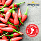 Whole Calabrian Chili Peppers In Oil, 2.2 Lb / 1 Kg (900 Gr Drained), 100% Certified Authentic, Cryovac, Authentic Chilies From