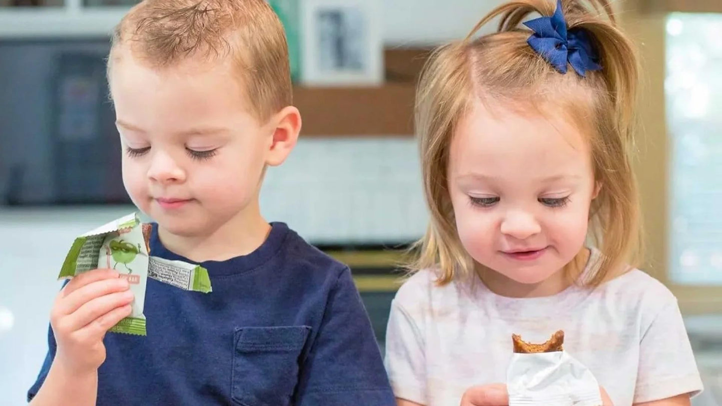 Skout Organic Real Food Bars for Kids Fruit Variety Pack (36 Pack) | Organic Snacks for Kids | Plant-Based Nutrition, No Refined