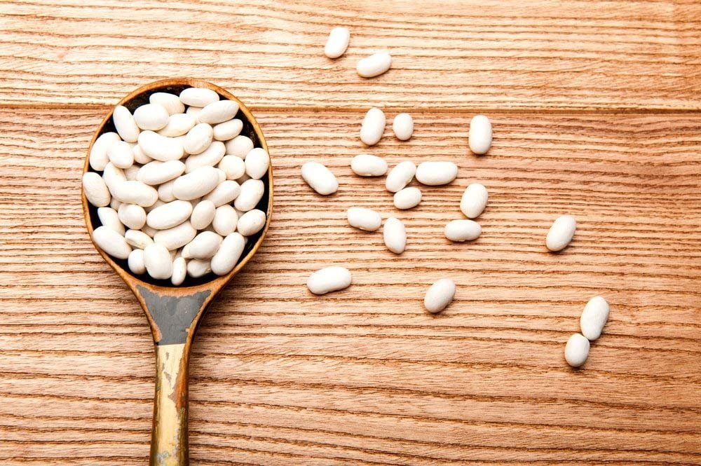 Food To Live Organic Cannellini Beans, 15 Pounds - Non-Gmo, Dried White Kidney Beans, Sproutable, Vegan, Kosher, Bulk. Pre-Soak
