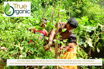 True Organic Ceylon Curry Leaves, 1 Oz, Premium Grade, Gluten Free, Usda & Kosher Certified, Non-Gmo.