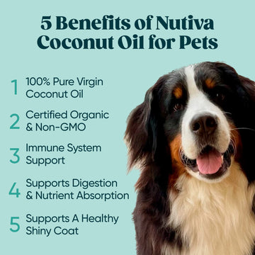 Nutiva Organic Coconut Oil 128 fl oz, Cold-Pressed, Unrefined Cooking Oil, Natural Hair Oil, Skin Oil, Massage Oil, USDA Organic
