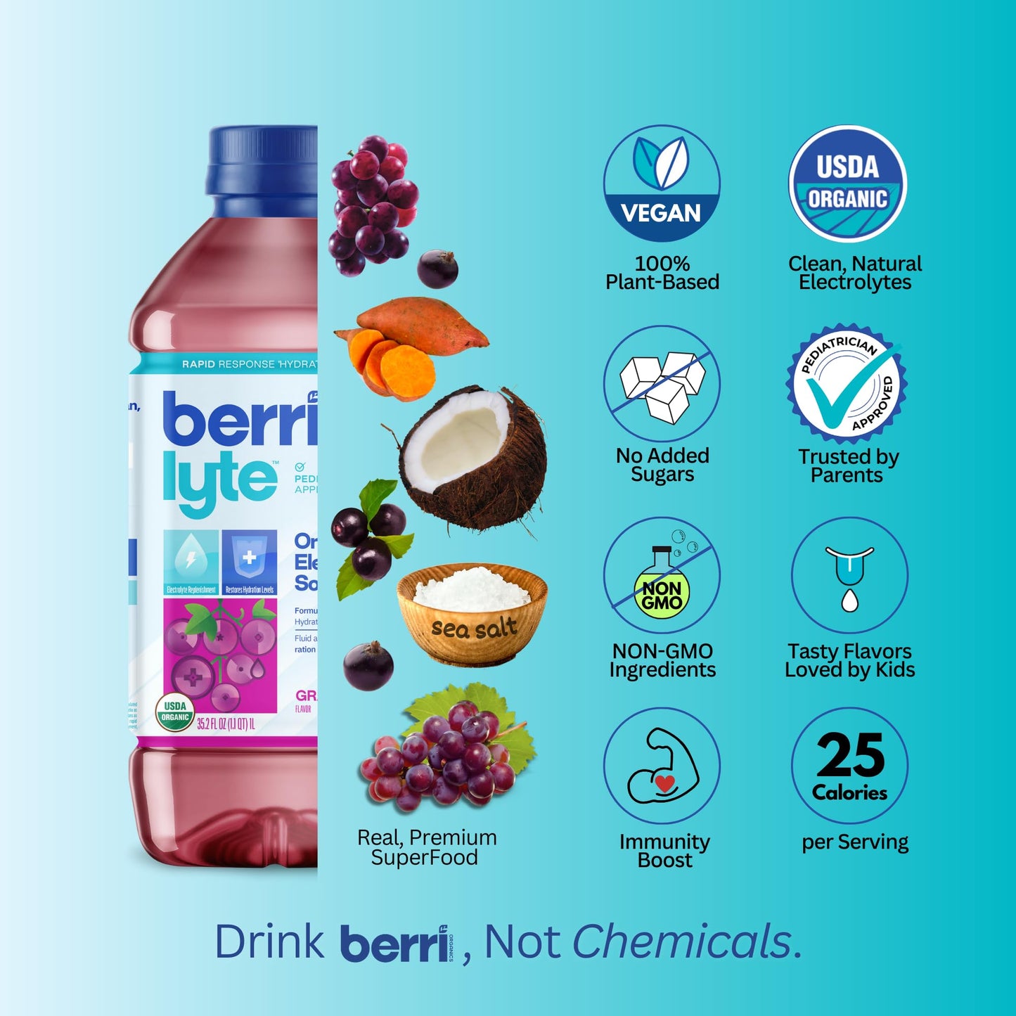 Berri Lyte Plant Based Organic Electrolyte Solution - Pediatric Rehydration Drink - Low Sugar Grape Flavor, 1 L, 2 Ct