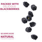 Betty Lou'S Fruit Bars | Blackberry Pack Of 12 | Gluten Free, Vegan, Non Gmo | Deliciously Healthy Snacks Made With All Natural