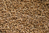 Gambrinus Honey Malt (5 lb.)