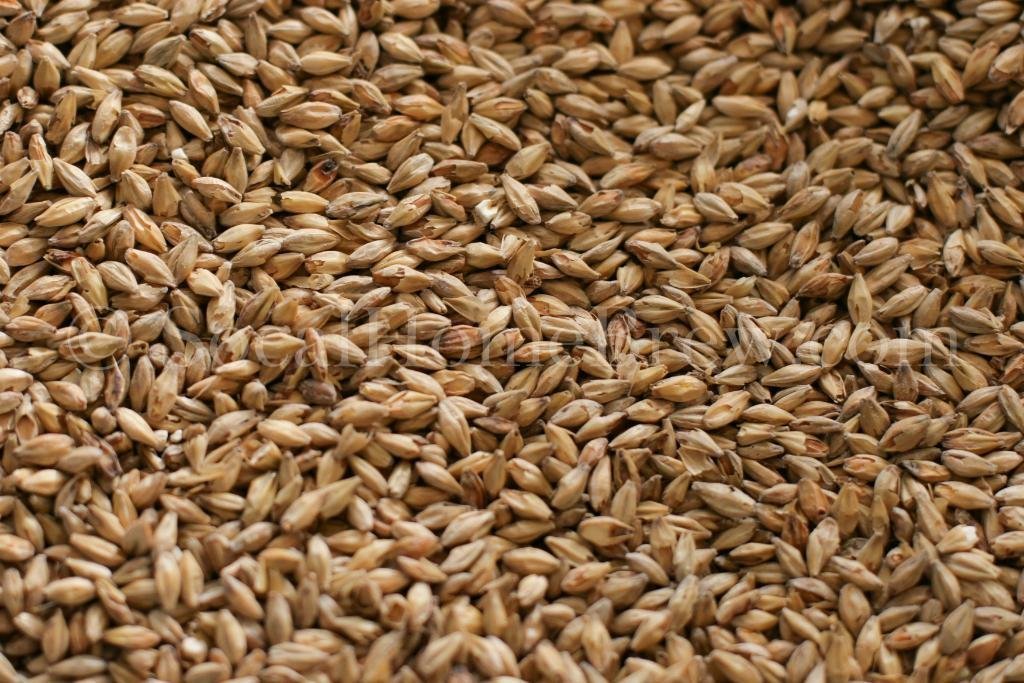 Gambrinus Honey Malt (5 lb.)