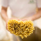 Rustichella D'Abruzzo Tagliatelle Pasta - 250G, Classic Italian Durum Wheat, Traditional Hand-Cut Style, Perfect For Bolognese &