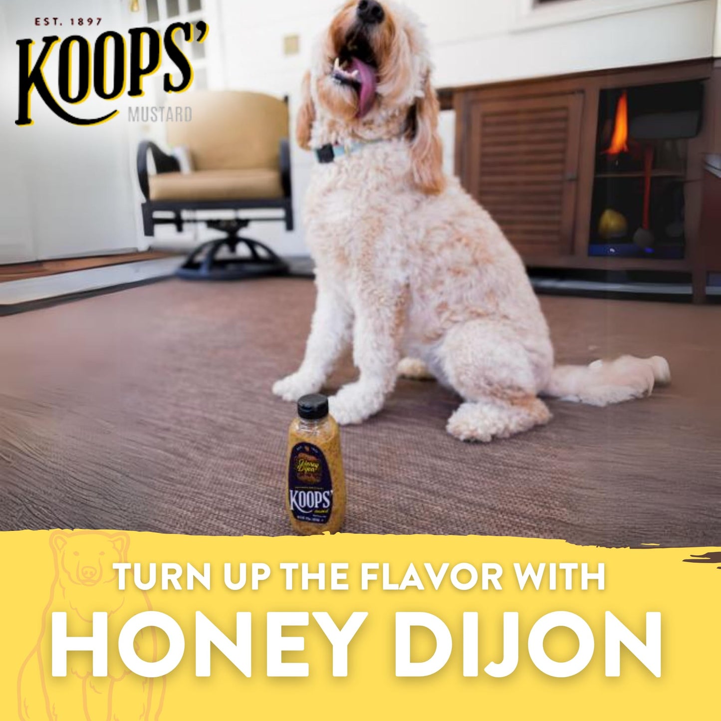 Koops  Honey Dijon Mustard - Gourmet Mustard, Gluten-Free, Kosher, Made in USA, From Quality Mustard Seeds, Honey Mustard Sauce