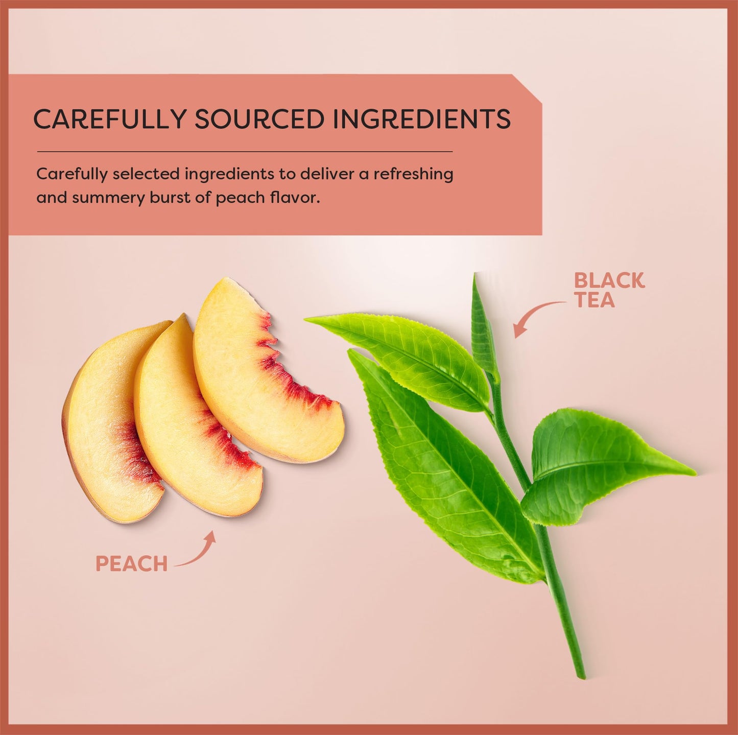Wissotzky Sunny Peach Black Tea, 20 Tea Bags  Antioxidant Rich  Fruity Delight  Black Tea Bags