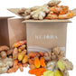 1 Lb Kejora Fresh Ginger and Turmeric Root Combo - Fresh Hand Picked (1, Pound) Not for Planting
