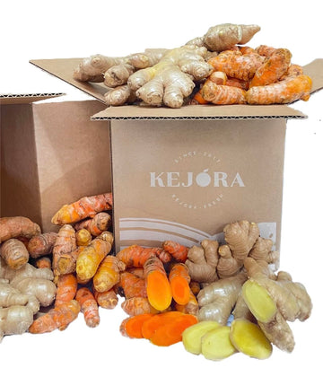 1 Lb Kejora Fresh Ginger and Turmeric Root Combo - Fresh Hand Picked (1, Pound) Not for Planting