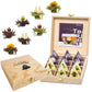 Creano Blooming Tea Gift Set - 12 Tea Flowers in Wooden Box - White & Black Tea - Black & White Cup Size