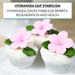 Global Sugar Art Hydrangea Leaves Sugar Cake Flowers Small Green, 30 Count By Chef Alan Tetreault
