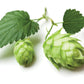 Hops Flowers - Dried Humulus Lupulus Loose Tea From 100% Nature (4 Oz)