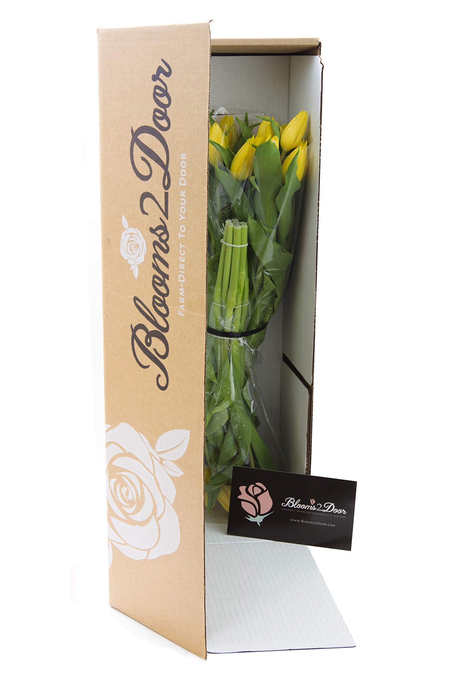 Blooms2Door 30 Yellow Tulips - Fresh Farm-Grown Flowers for Birthdays, Sympathy, Anniversaries, and More