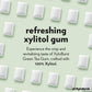 Xyloburst Green Tea Sugar Free Gum - Natural Xylitol Chewing Gum - Bulk 500 Count Bag - Non Gmo, Vegan, Aspartame Free, Keto Fri