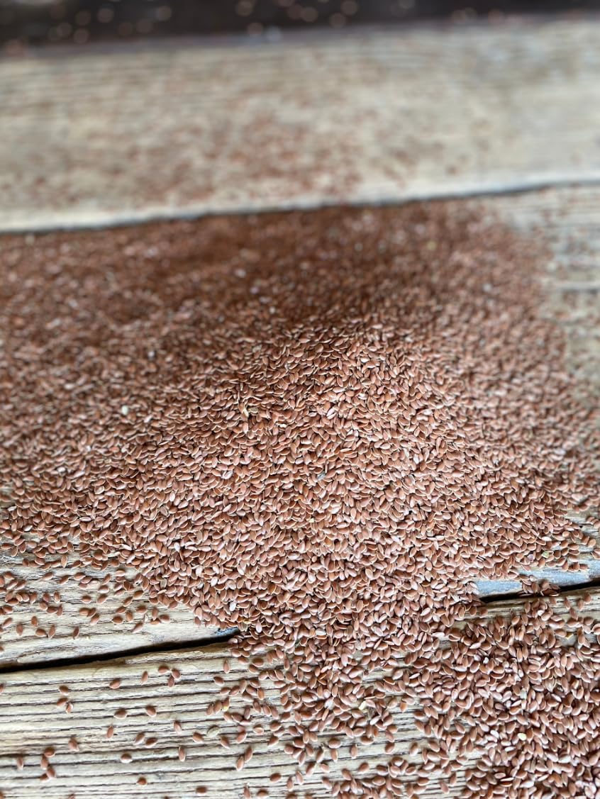 Unearthed Whole Flax Seed - Premium Plant-Based Protein, Gluten-Free, Non-GMO, Vegan, 25lb