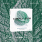 Simply Gum Wintergreen Chewing Gum, Plastic-Free, Vegan, 6 Pack (90 Pieces), Green