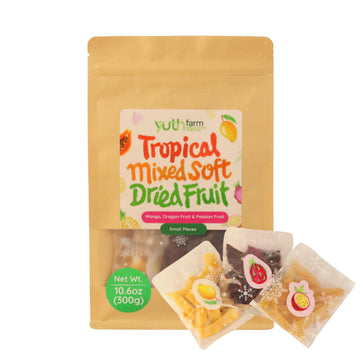 Yuth Farm Tropical Mixed Dried Fruit - Mango, Dragon Fruit, Passion Fruit, Natural Soft Dried Fruit Gift Set 300G (10.6 Oz) - Sm