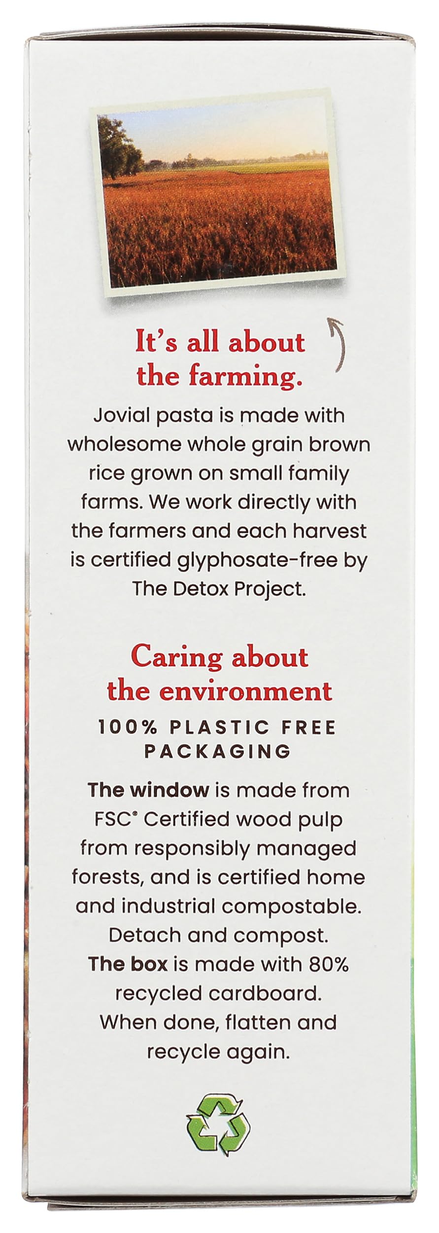 Jovial Pasta Brown Rice Organic Fusilli, 12 Oz