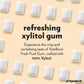 XyloBurst Xylitol Chewing Gum | Sugar Free, Gluten Free, Keto Friendly | Aspartame Free | Fruit Flavor | 500-Count Bag