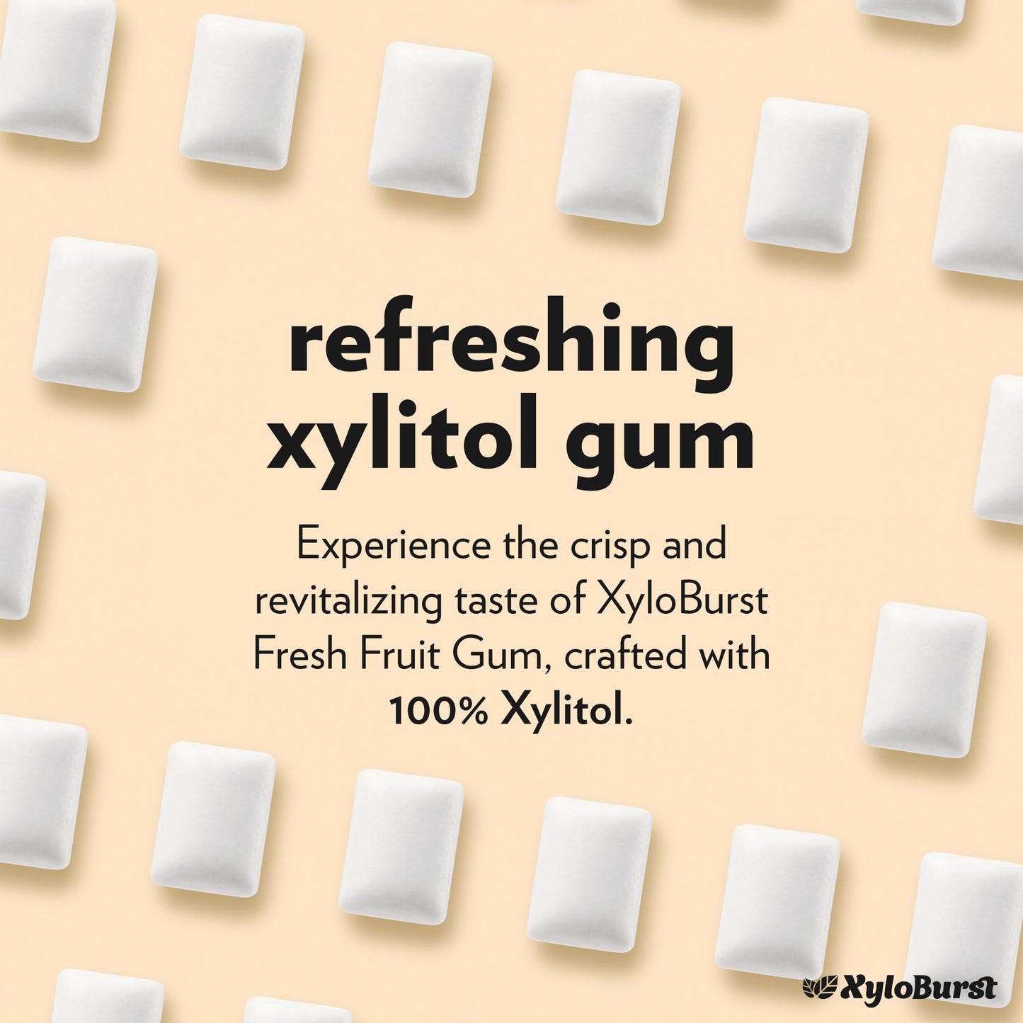 XyloBurst Xylitol Chewing Gum | Sugar Free, Gluten Free, Keto Friendly | Aspartame Free | Fruit Flavor | 500-Count Bag