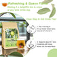FullChea Guava Leaves Tea Bags - Caffeine-Free, Non-GMO, 50 Count