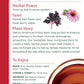 Traditional Medicinals Organic Echinacea Plus Elderberry Herbal Tea, Promotes Immune Function, (Pack Of 1) - 16 Tea Bags