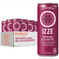 IZZE Blackberry Juice, No Sugar Added, 8.4 oz., 24/Carton