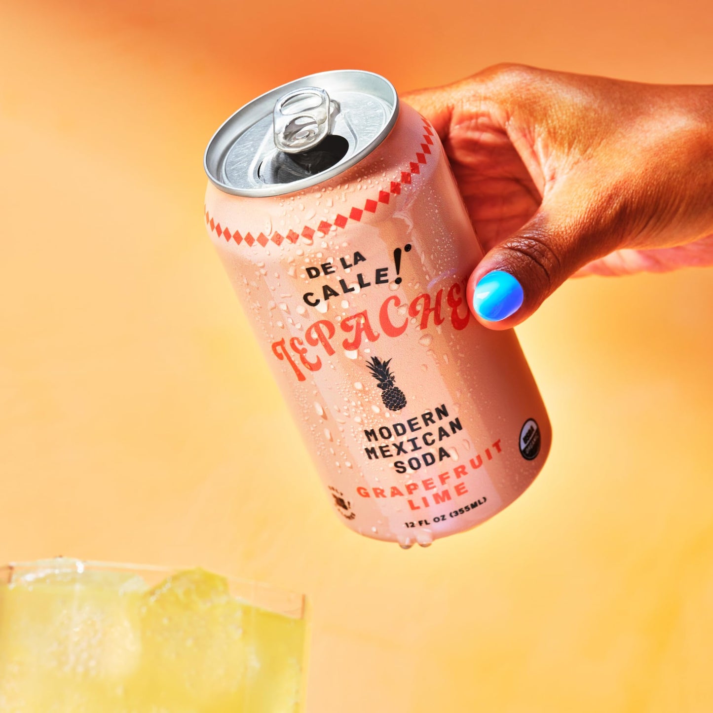 De La Calle Tepache - G fruit Lime Soda - Craft Fermented Beverage - 12 Fl Oz - Clear - Organic, Low Sugar, Non-GMO