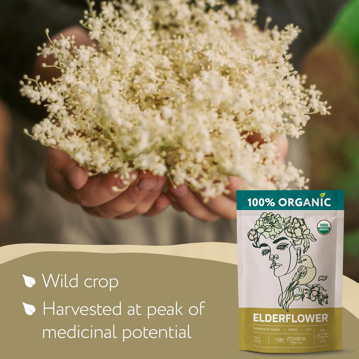 Elderflower Tea, Organic Dried Elderflowers, Elder Flowers Dried Herbs, Te De Sauco, Flor De Sauco Organico - Tea Herbs, Respira