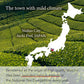Superior Ceremonial Grade Matcha Green Tea Powder from NISHIO JAPAN | Japanese Tea KIMIKURA | Matcha KIMIKURA (2_Nishio [Competi