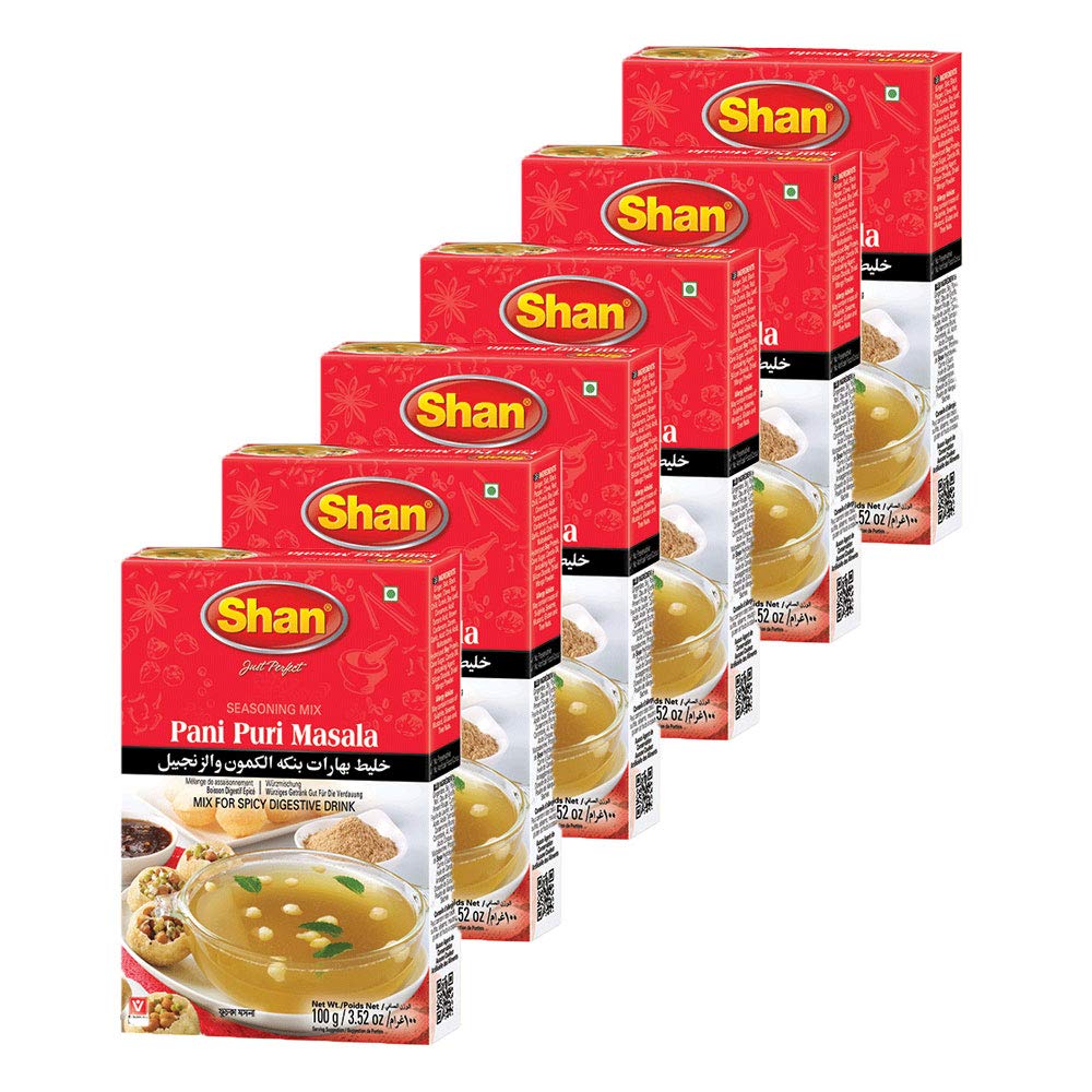 Shan Pani Puri Seasoning Mix 3.52 oz (100g) - Spice Powder for Spicy Digestive Drink - Suitable for Vegetarians - Airtight Bag i